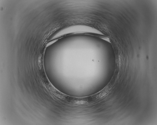 X0000053110360200508012131