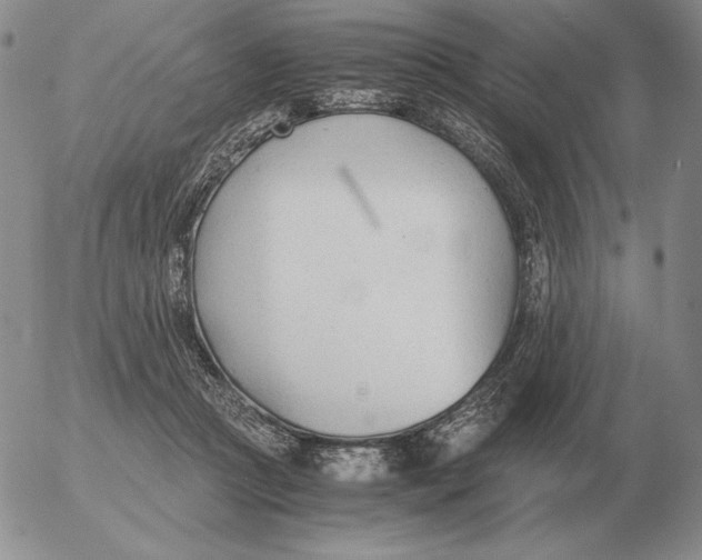 X0000053110361200508012131