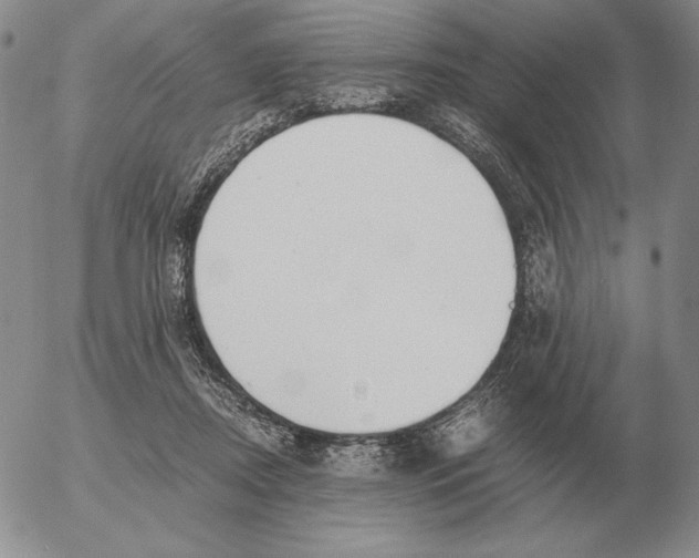 X0000053110362200508012131