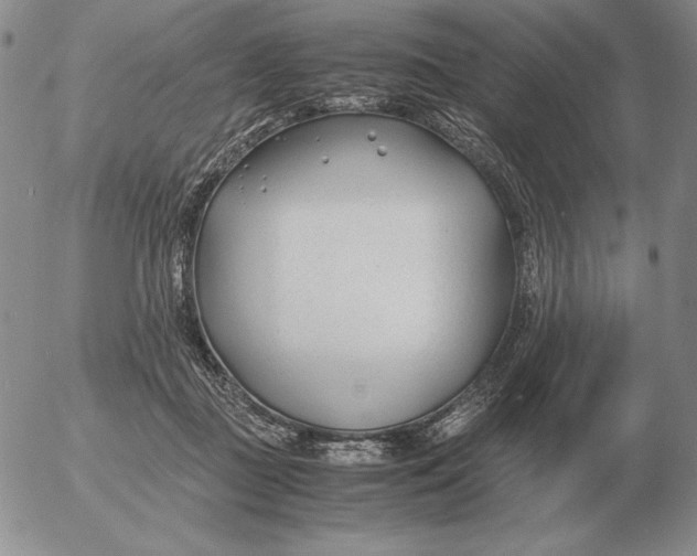 X0000053110363200508012131