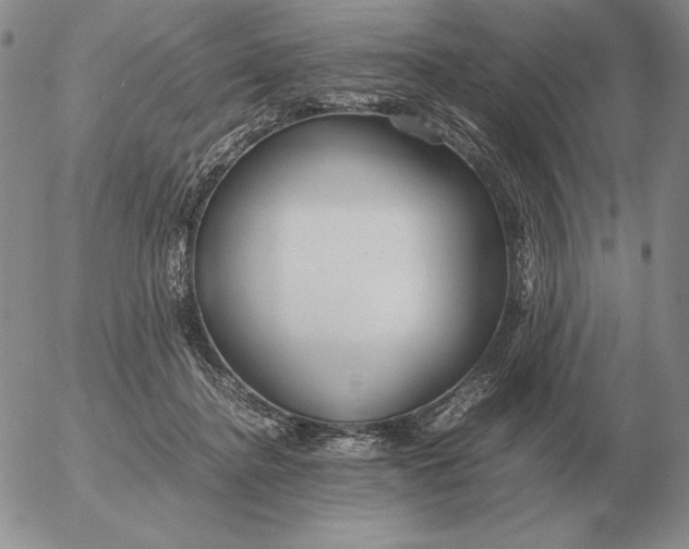 X0000053110364200508012131