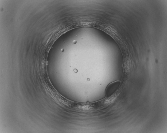 X0000053110365200508012131