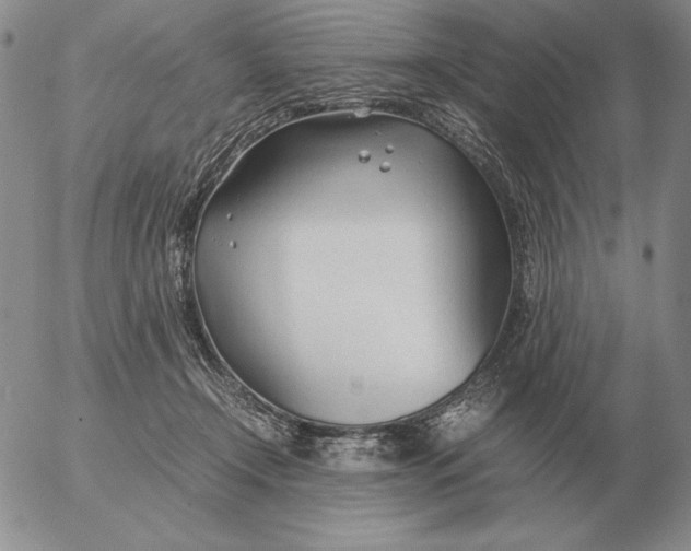 X0000053110366200508012131