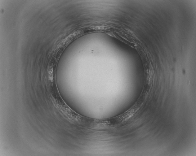 X0000053110368200508012131