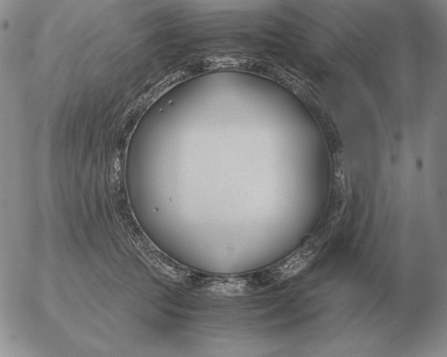 X0000053110369200508012131