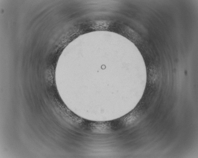 X0000053110370200508012131