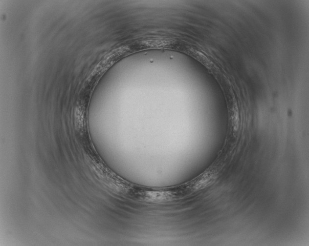 X0000053110371200508012131