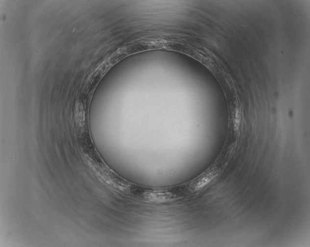 X0000053110372200508012131