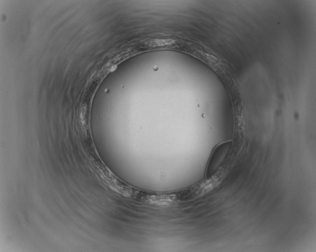 X0000053110373200508012131