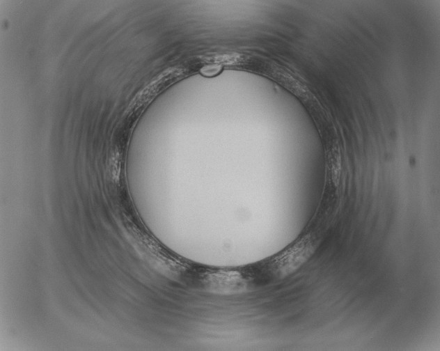 X0000053110374200508012131