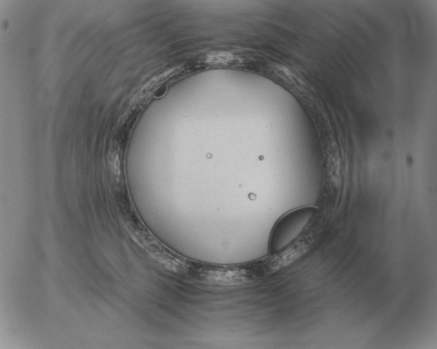 X0000053110375200508012131