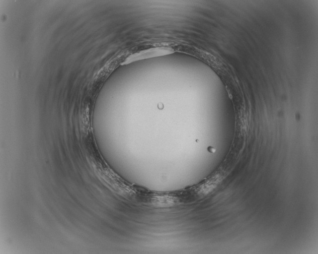 X0000053110376200508012131