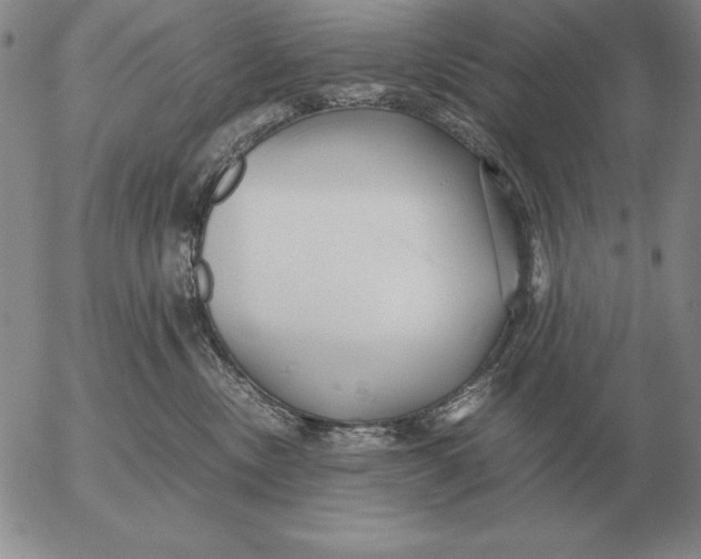 X0000053110378200508012131