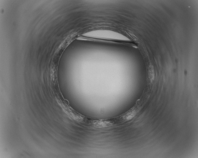 X0000053110379200508012131