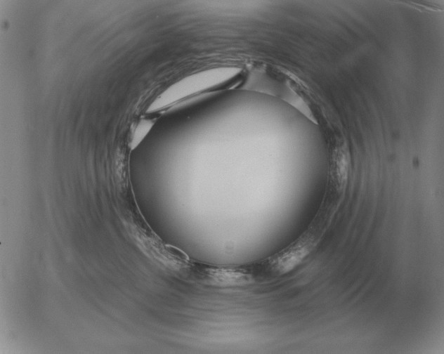 X0000053110380200508012131