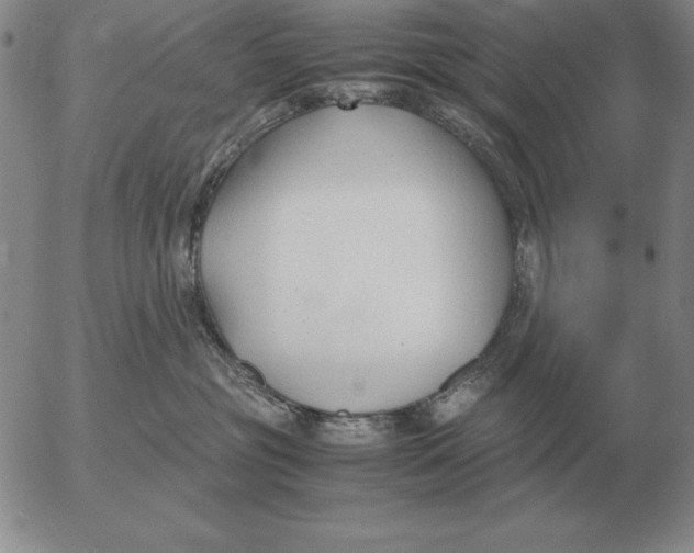 X0000053110381200508012131