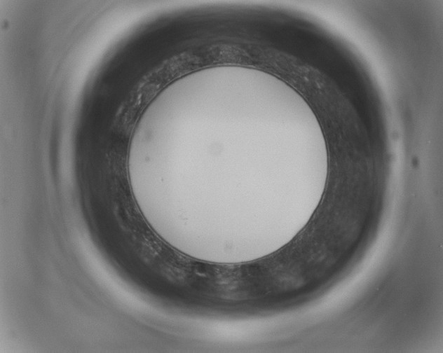 X0000053110382200508012131