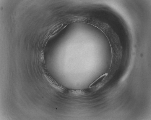 X0000053110383200508012131