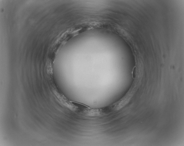 X0000053110384200508012131