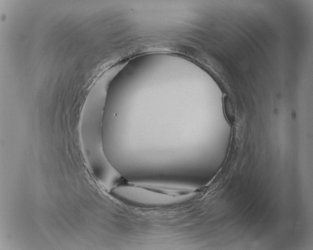 X0000053110385200508012130