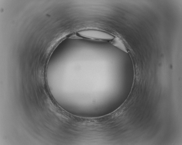 X0000053110386200508012130