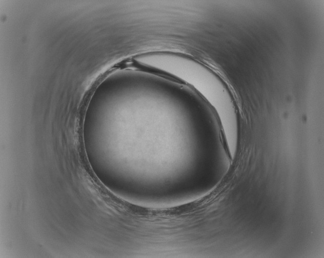 X0000053110387200508012130