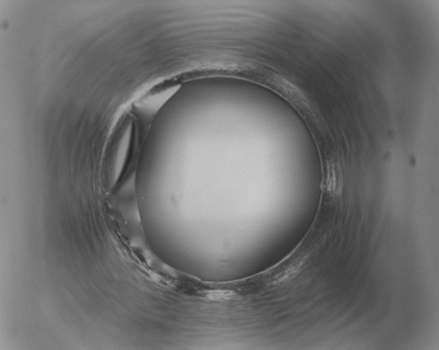 X0000053110388200508012130