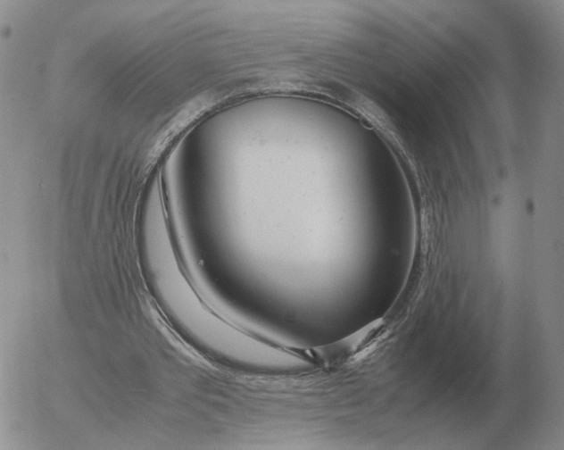 X0000053110389200508012130