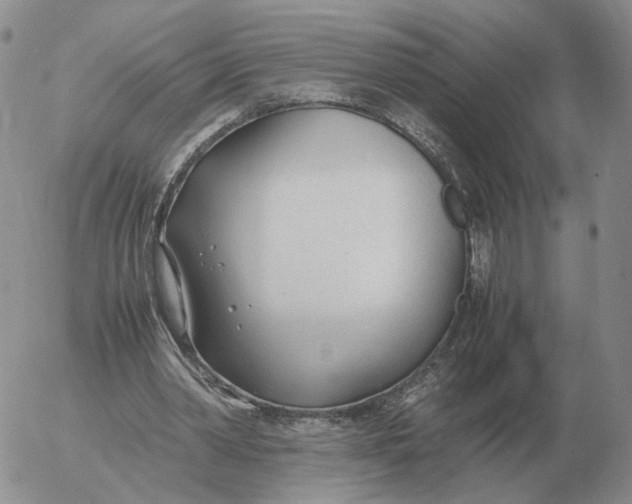 X0000053110390200508012130