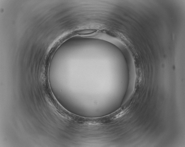 X0000053110392200508012130