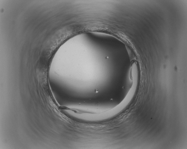 X0000053110393200508012130