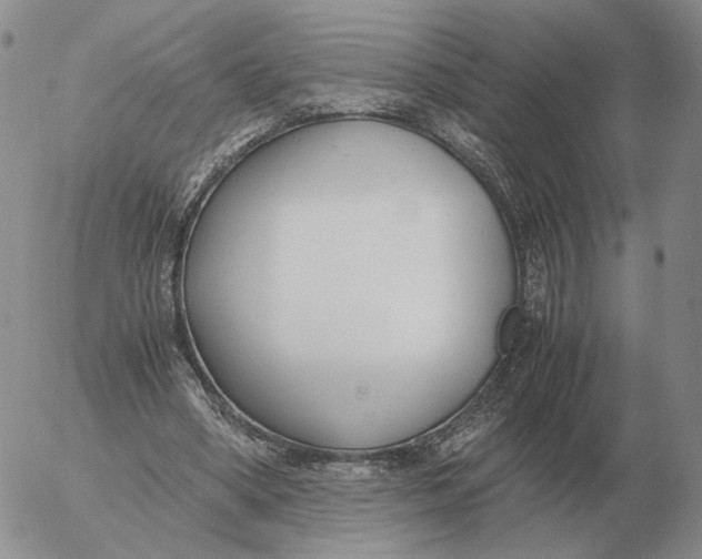 X0000053110394200508012130