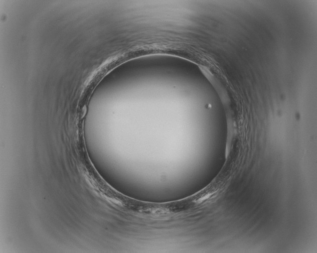 X0000053110395200508012130