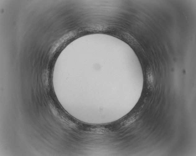 X0000053110396200508012130