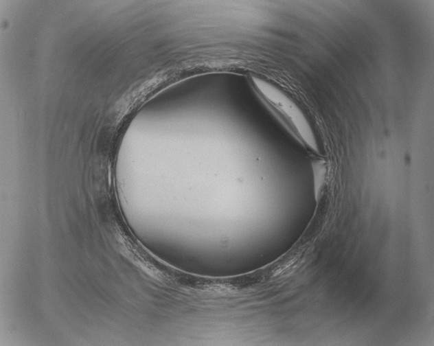 X0000053110397200508012130