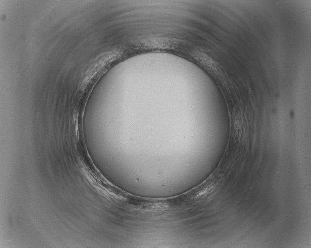 X0000053110398200508012130