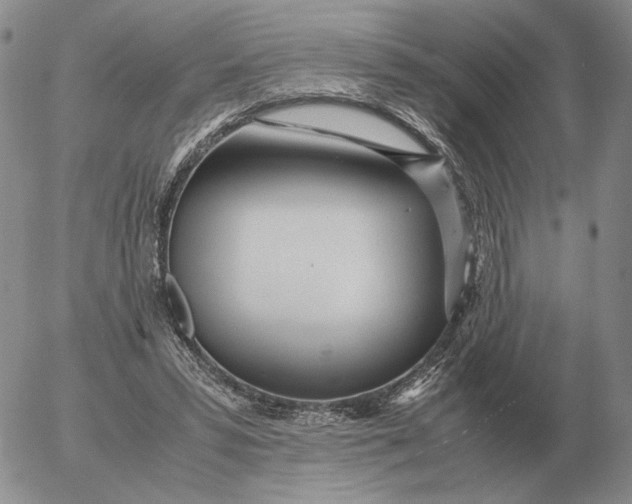 X0000053110399200508012130