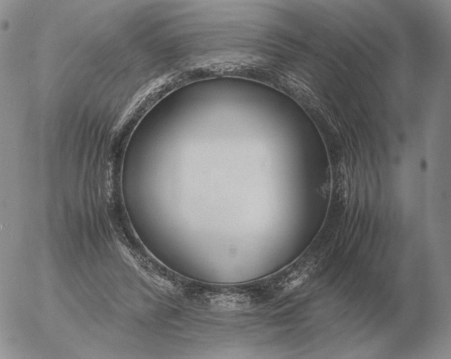 X0000053110400200508012130