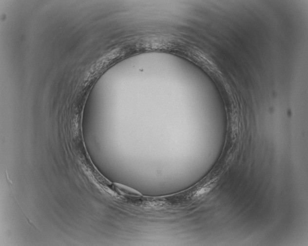 X0000053110401200508012130