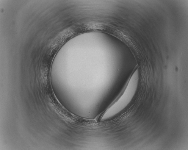 X0000053110402200508012130