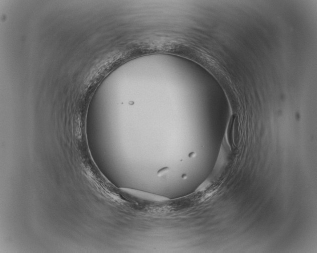 X0000053110403200508012130