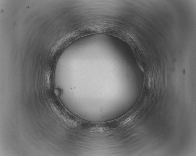 X0000053110404200508012130