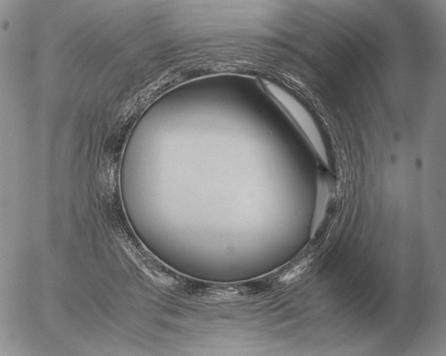 X0000053110405200508012130