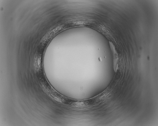 X0000053110406200508012130