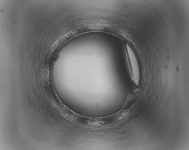 X0000053110407200508012130