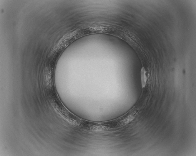 X0000053110408200508012130