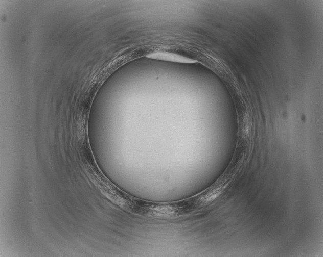 X0000053110409200508012130