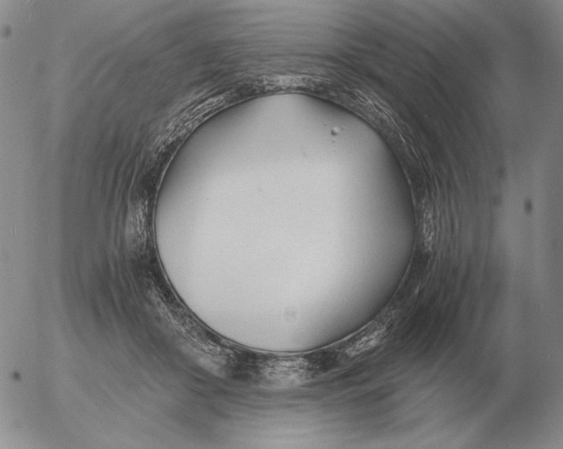 X0000053110410200508012130