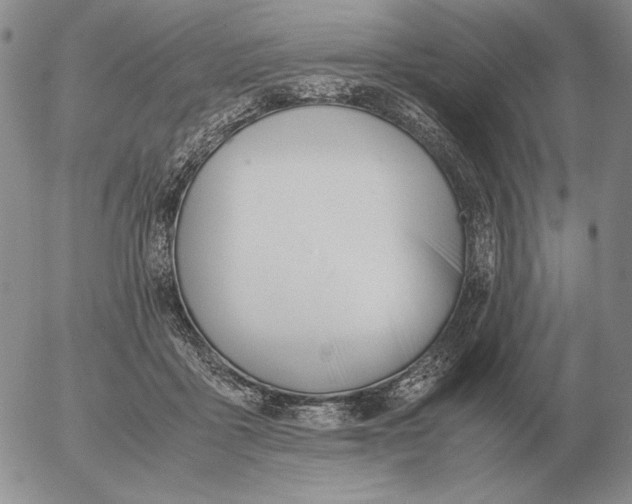 X0000053110411200508012130