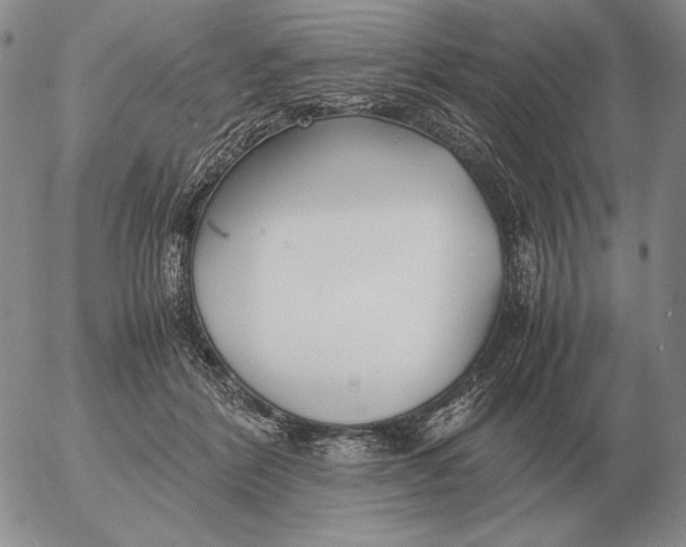 X0000053110412200508012130